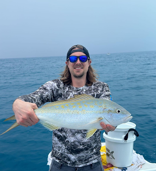 Awesome Yellowtail In Tavernier FL